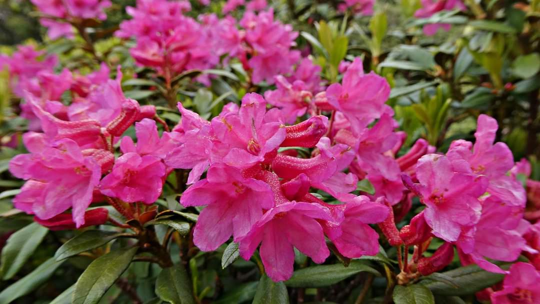 Aktivitäten in der Umgebung