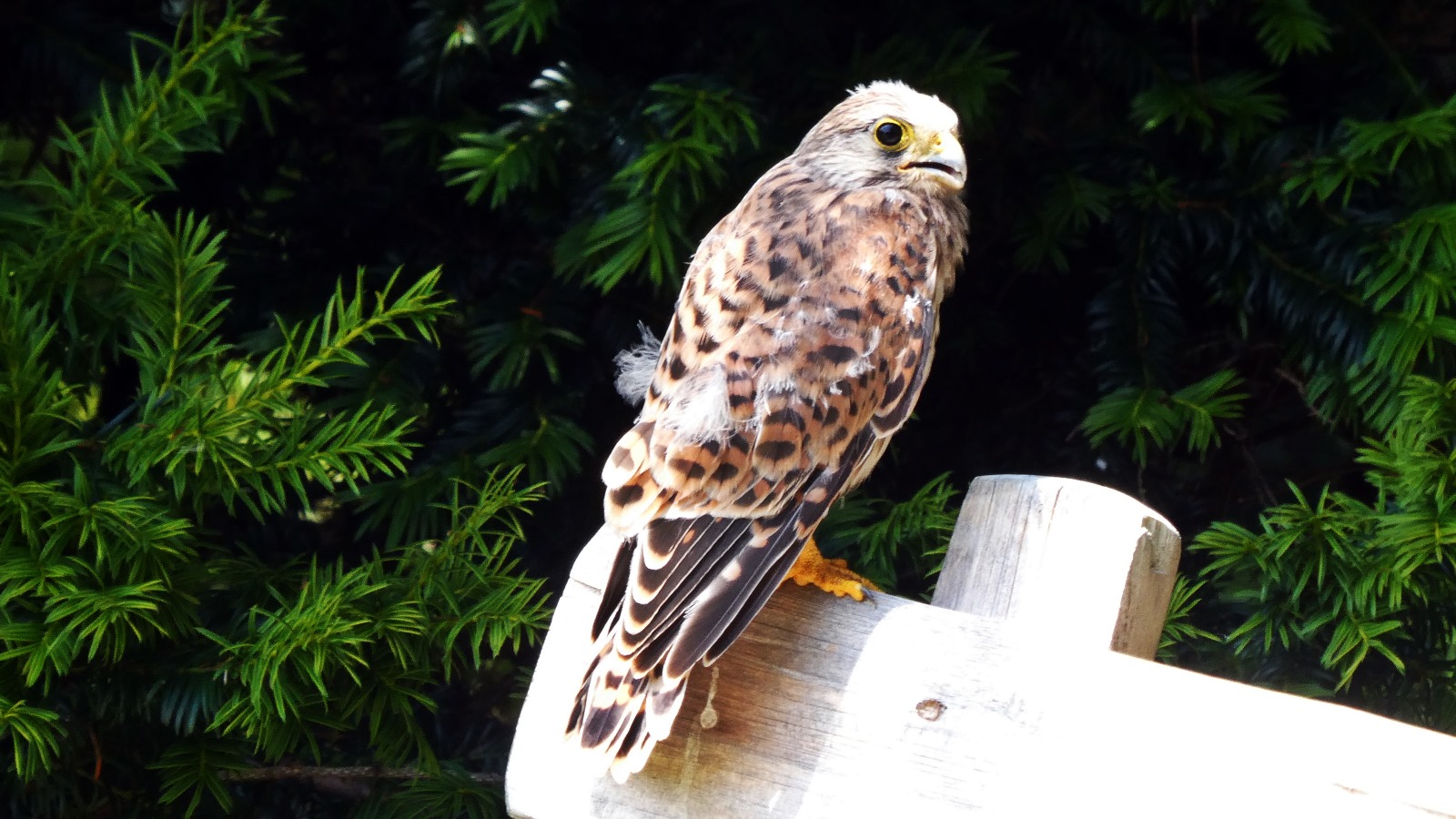 Aktivitäten in der Umgebung